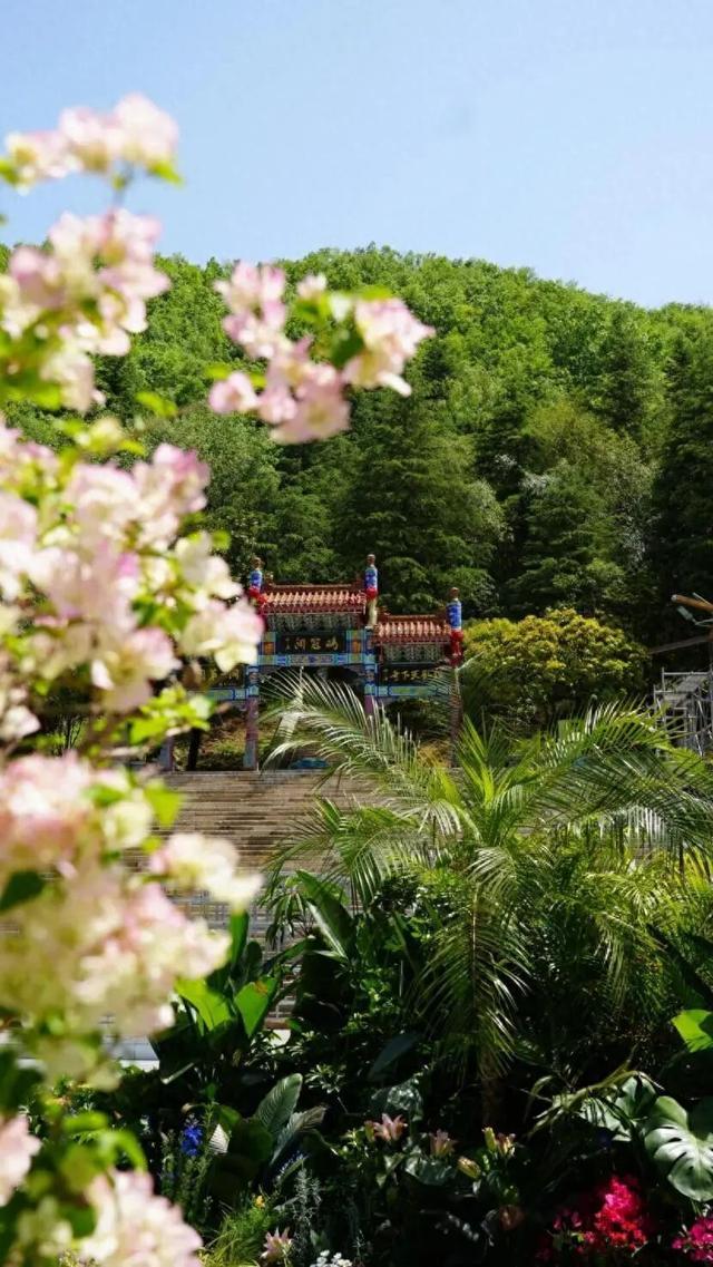 别有洞天！河南溶洞避暑指南来了→