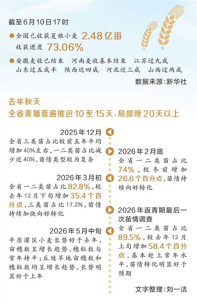 200多天 河南这场仗不容易！（坚决打好打赢“三夏”攻坚战）