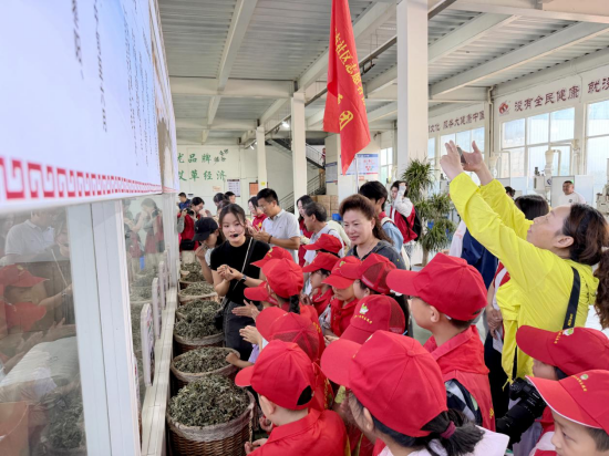 南阳卧龙区:“小雷锋”走进药益宝 探秘艾草传承国粹
