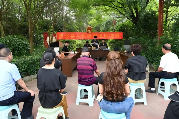 河南南召县人民法院：庭审搬入辛夷林 护航特色产业发展