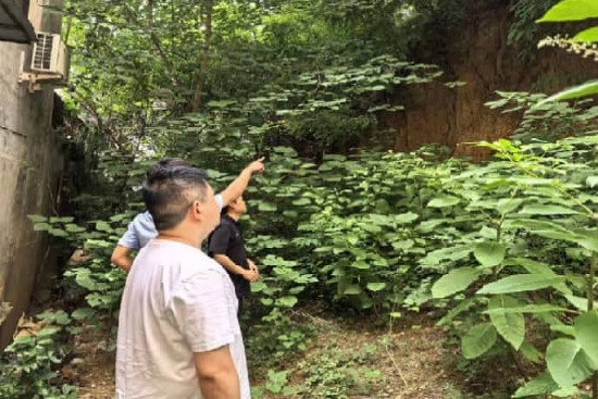 河南内乡：网格赋能织密防汛安全防护网