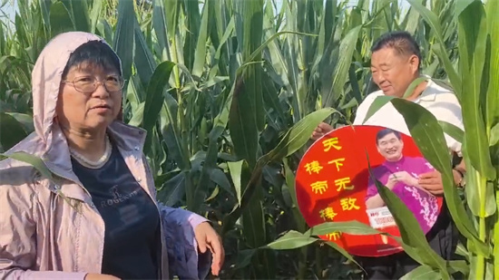 河南儒耕农业棒帝TK001玉米观摩会在商丘圆满召开