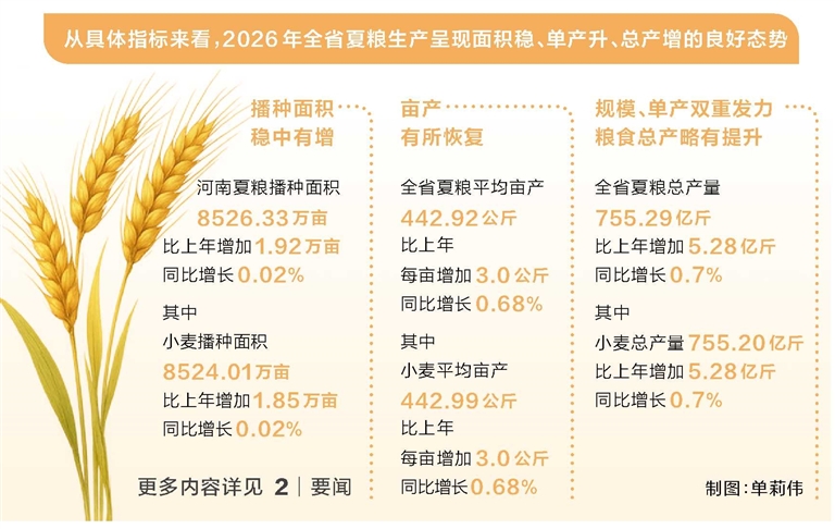 增量全国第一 2026年河南夏粮总产量755.29亿斤