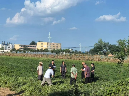 新野县法院：千年桑荫下的“和合”解法