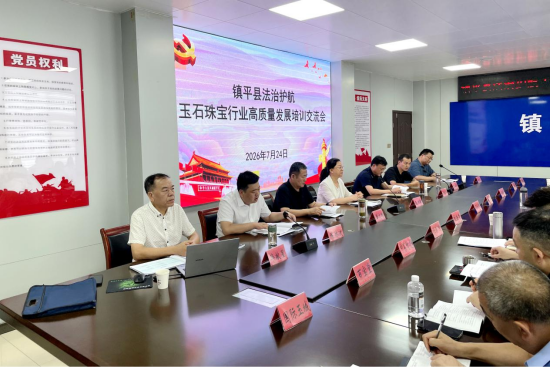 南阳镇平法治培训交流会：法律专家毕献星为玉雕产业授课