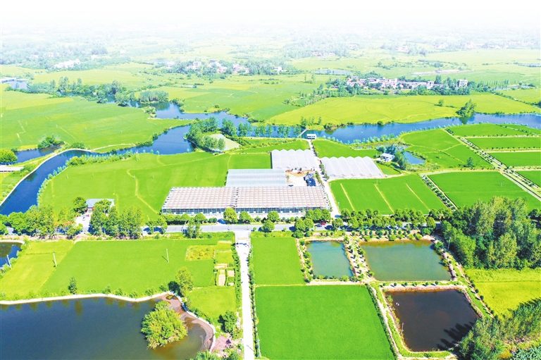 绘就乡村振兴新画卷