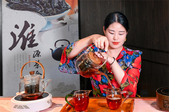 三伏岩茶香，一茶竟难求——桐柏山这款岩茶备受青睐