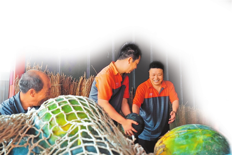 西瓜价格回来了（河力顶瓜瓜）