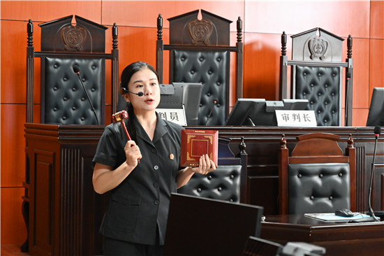 南阳高新区法院开展“公众开放日”活动： 一场别开生面的法治研学