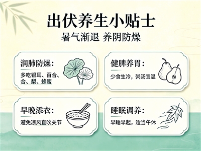 暑热未消 寒气渐生 出伏了，换季养生别大意