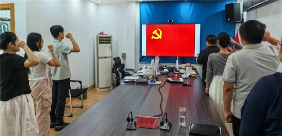 内乡县委社会工作部举行预备党员入党宣誓仪式