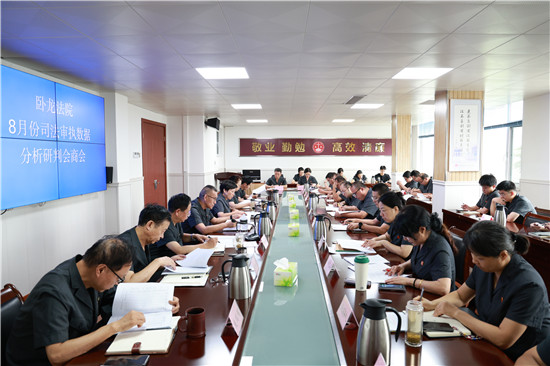 南阳卧龙区法院召开8月份司法审执数据分析研判会商会