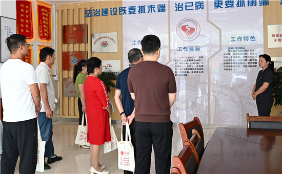 桐柏县法院开展“法护联助 润企兴商”公众开放日活动