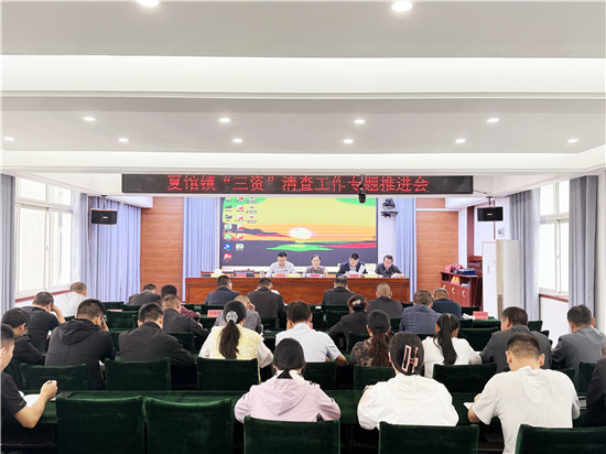 内乡县法院夏馆法庭：司法赋能“三资”治理 法治护航乡村振兴