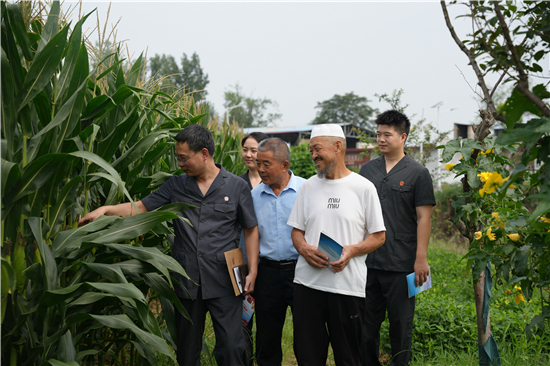  南阳宛城区法院茶庵法庭：扎根沃土护“三农” 乡土之上绘“枫”景