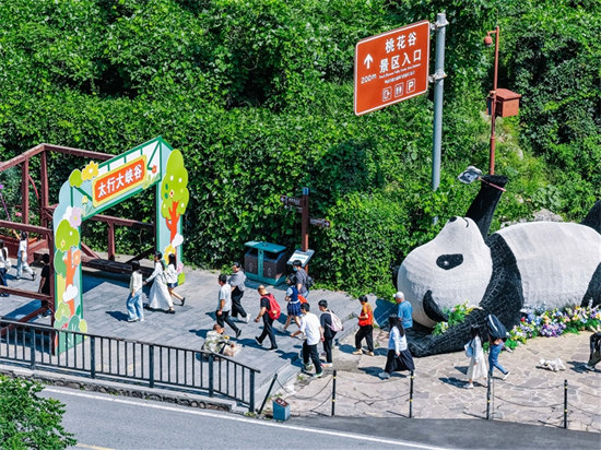 小票根里的消费新账本