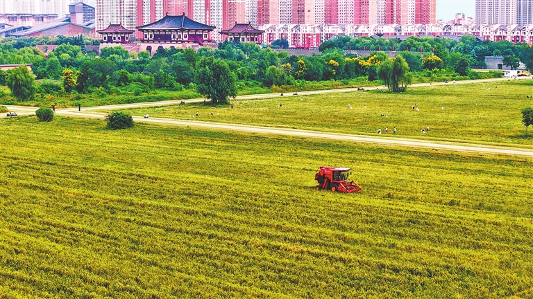 三秋进行时